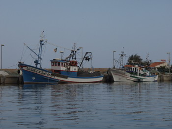 fishboat lagos